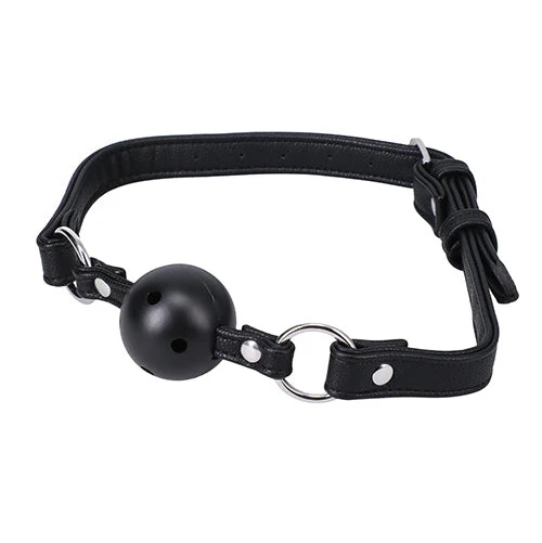 In A Bag Ball Gag