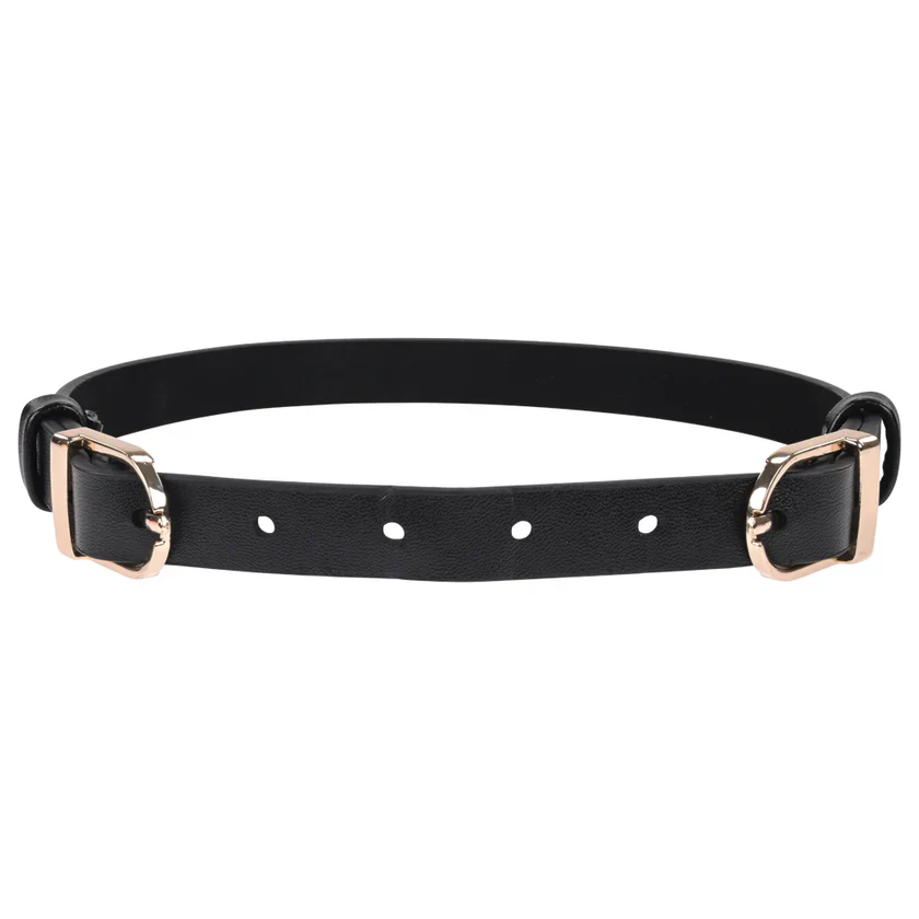 Sportsheets Double Buckle Day Collar